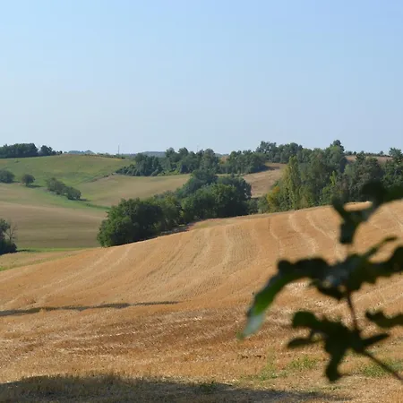 B&B D'hote Melusine - Illimite - Nature - Les Fees Des Chenes
